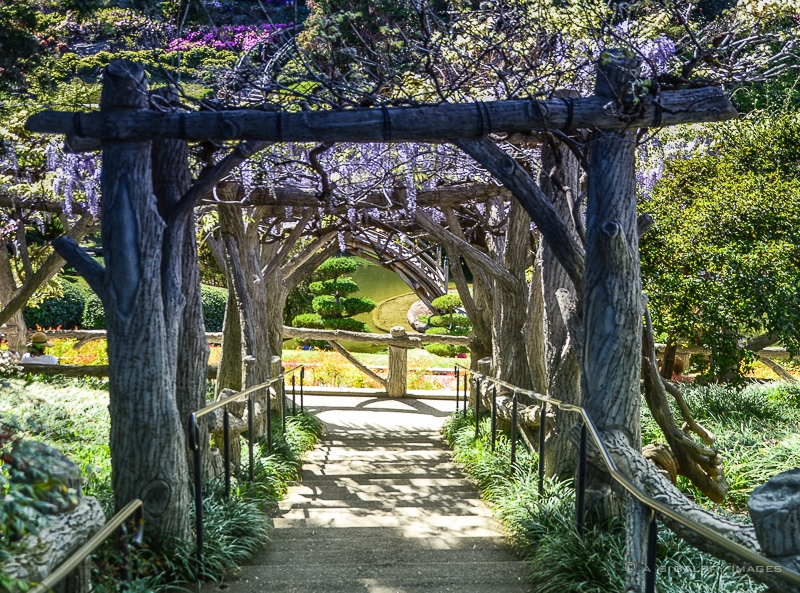 The Huntington Botanical Gardens A Luxury Travel Blog