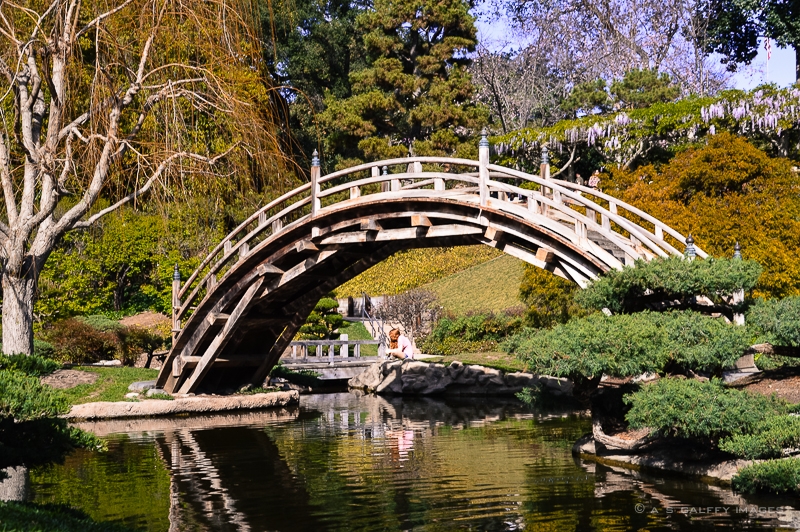 huntington library membership coupon
