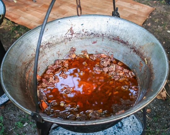 Meat stew Hungarian dish