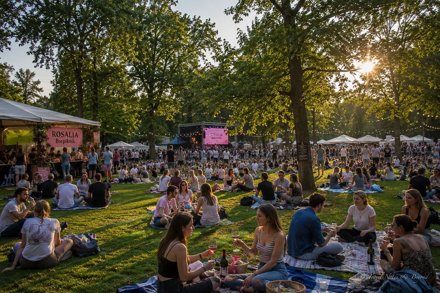 People on the grass drinking rose wine at the Rosalia Wine & Picnic Festival in the City Park