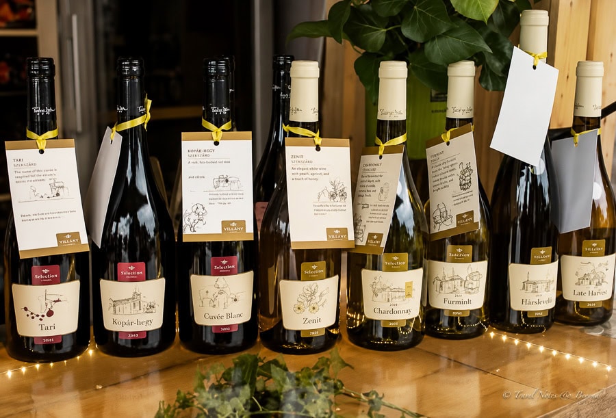 bottles of wine at the wine festival