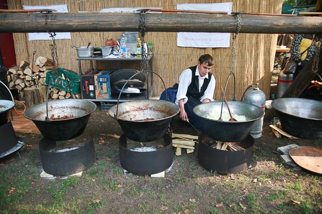 Gray Cattle Food Festival in Budapest