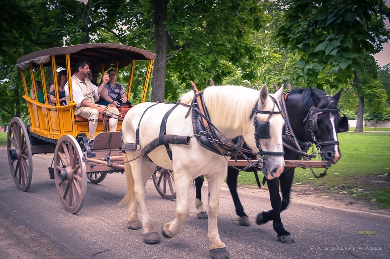 Horse drawn Carriage in Colonial Williamsburg