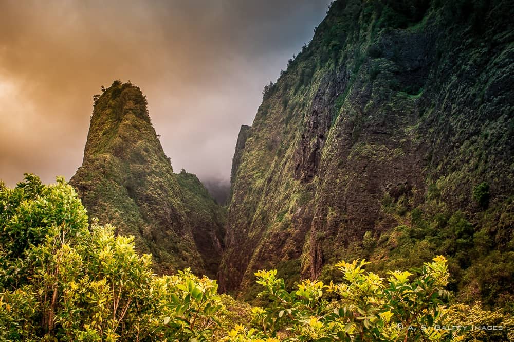 Image depicting Iao Valley, one of the top 10 reasons to fall in love with Maui