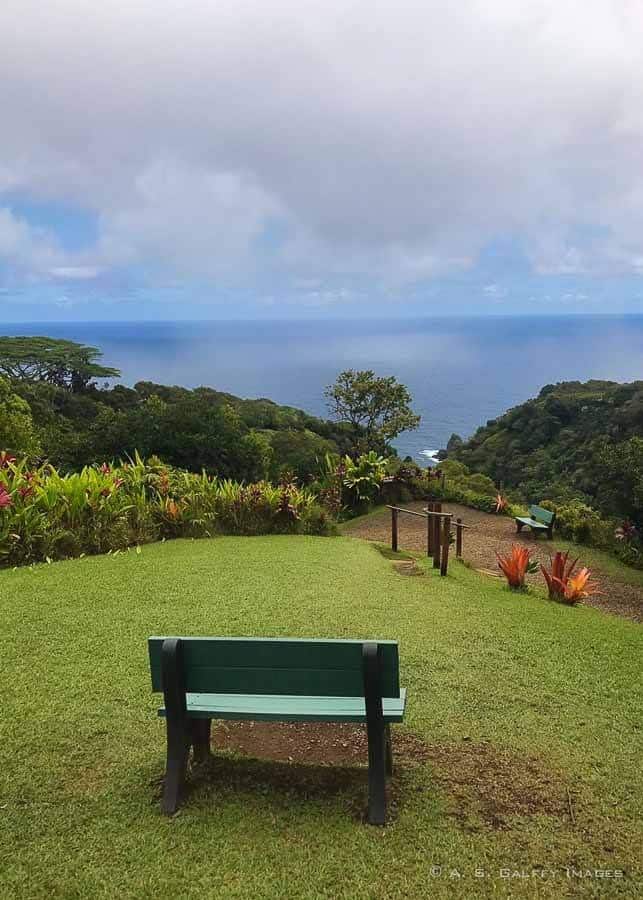 Visiting the Garden of Eden Arboretum