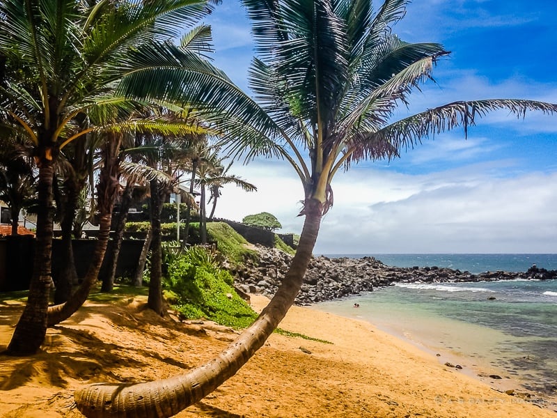 Maui beach