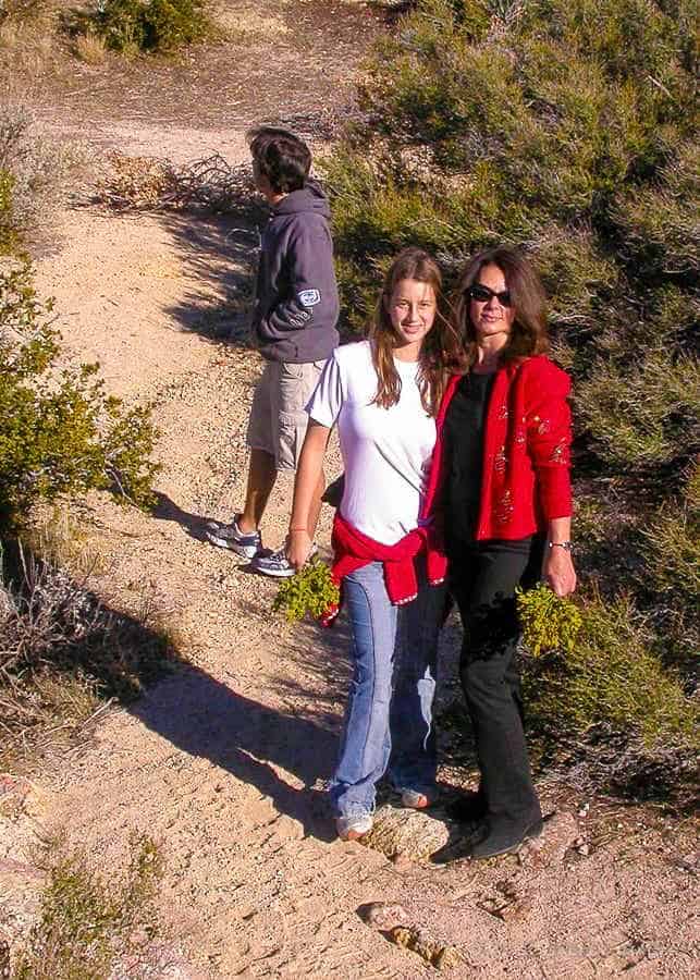 Picking mistletoe is an old Christmas tradition of our family