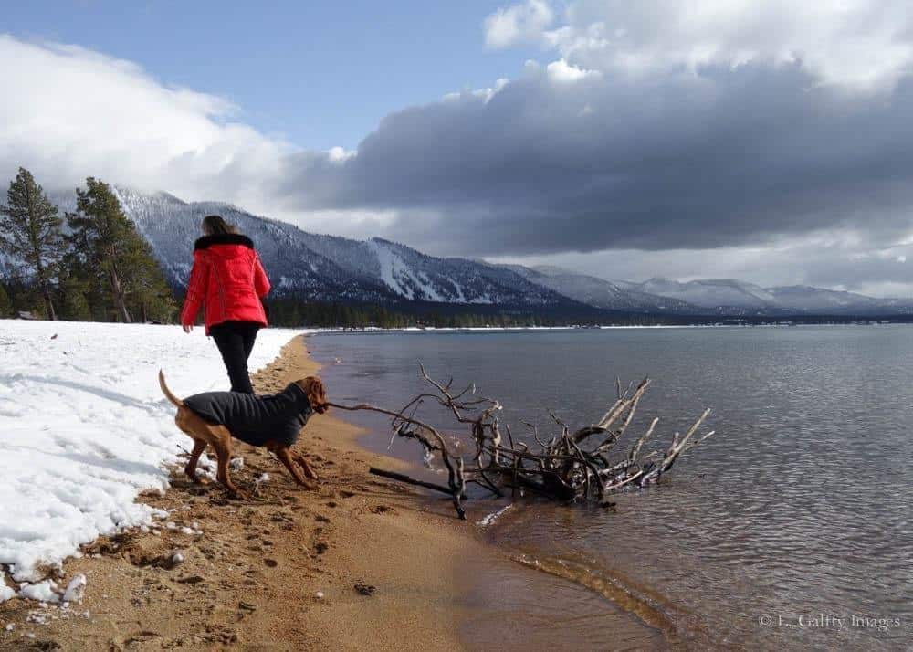 Walking around the lake in Lake Tahoe