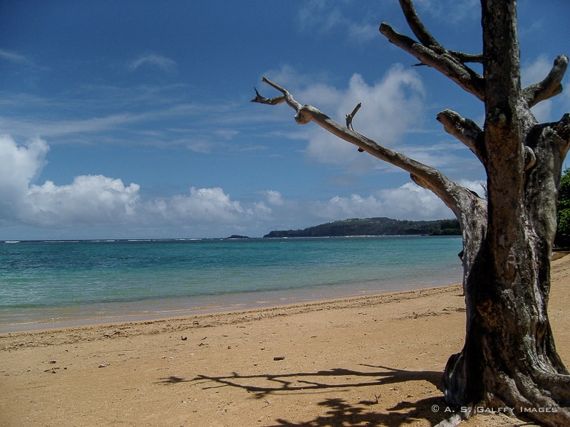 anini beach