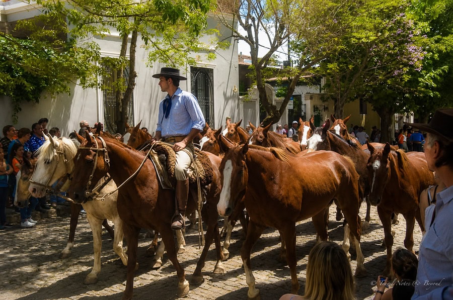 Day of the Tradition festival