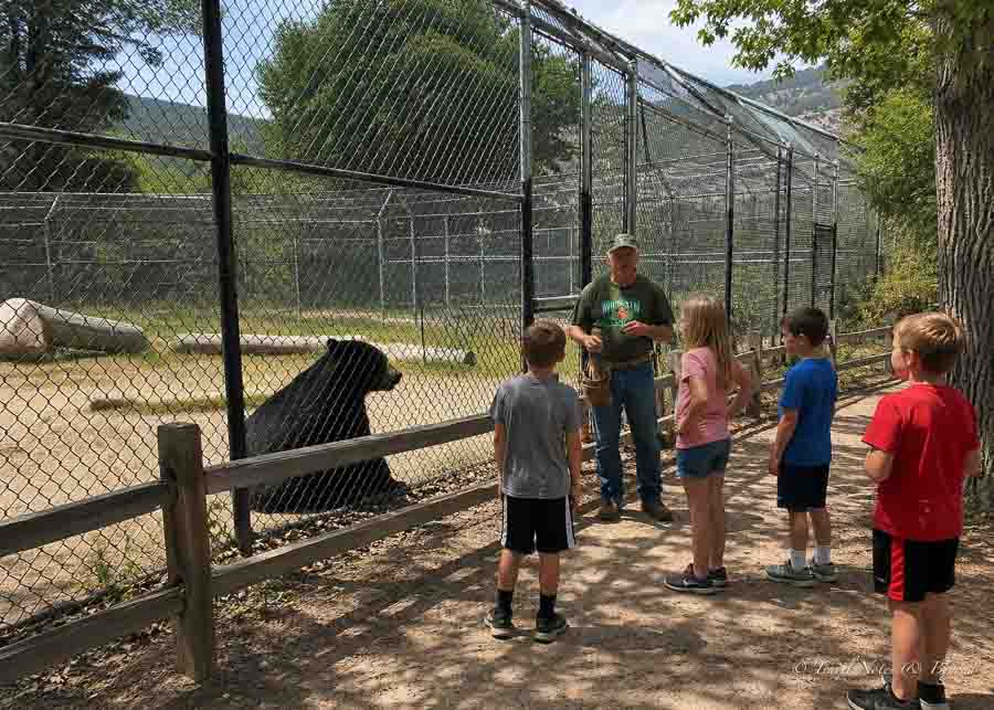 children listening to guide's explanations at Wildhaven Ranch