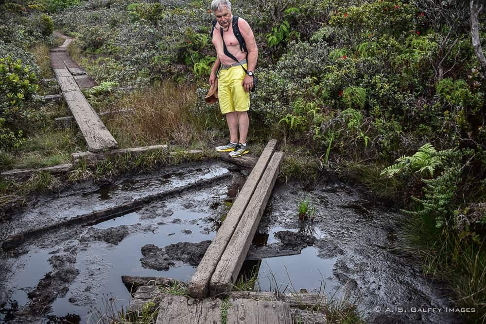 Hiking the Alaka'i Swamp Trail in Kauai