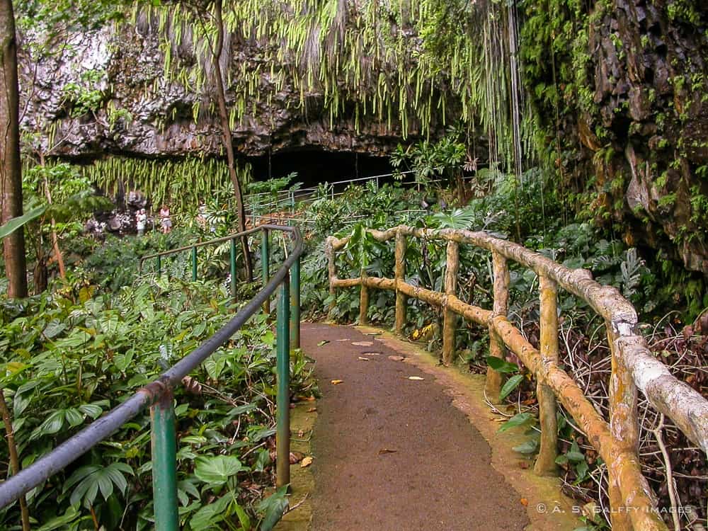 Fern Grotto in Kauai