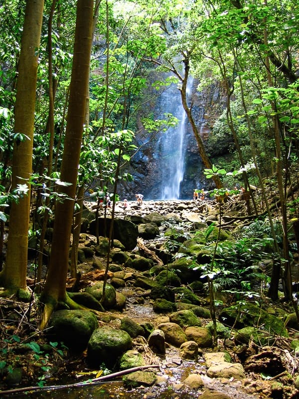 the Secret Falls in Kauai