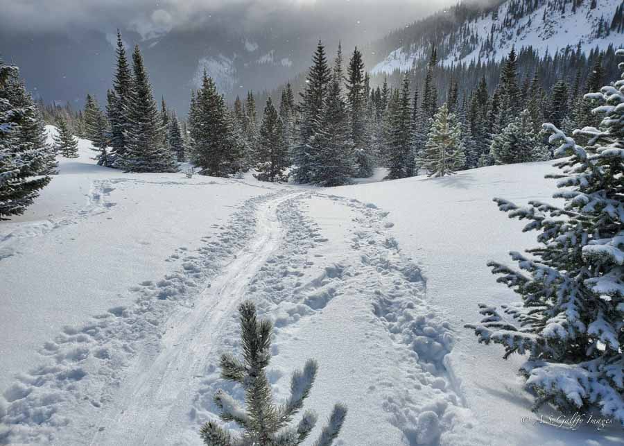 photo of unmarked sky terrain in Vail