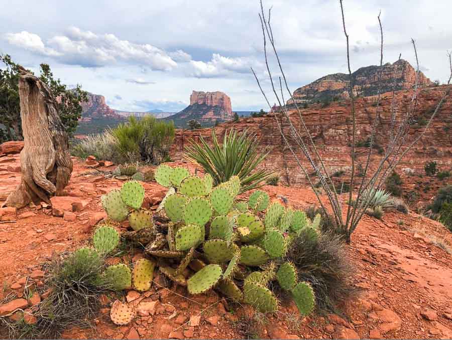 Hiking Cathedral Rock Trail, Sedona