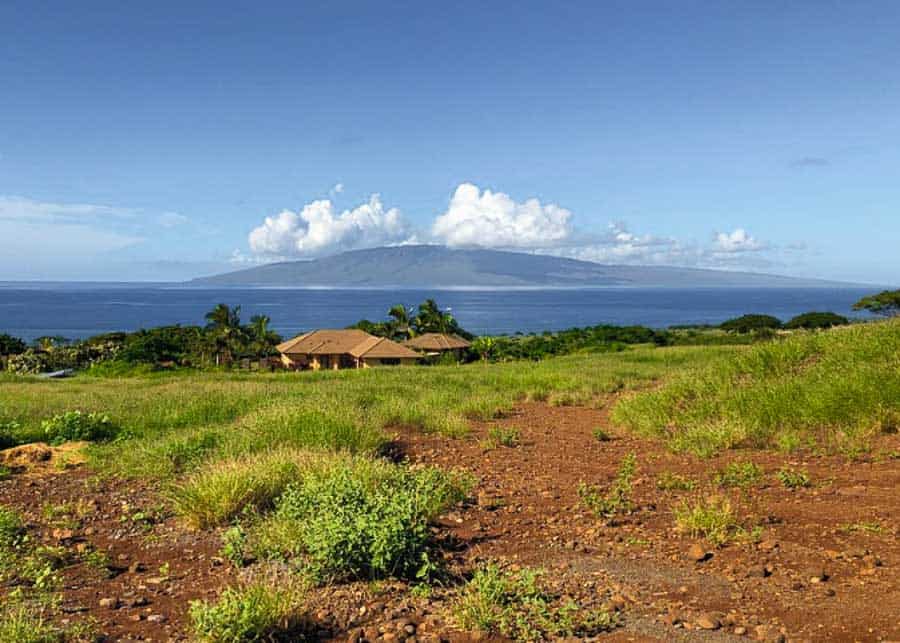 Farm in Maui