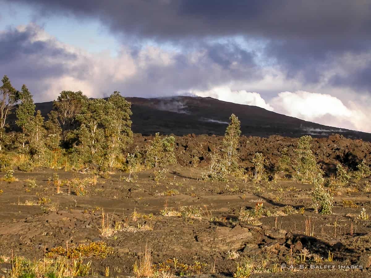 Photos of Hawaii: Puna District