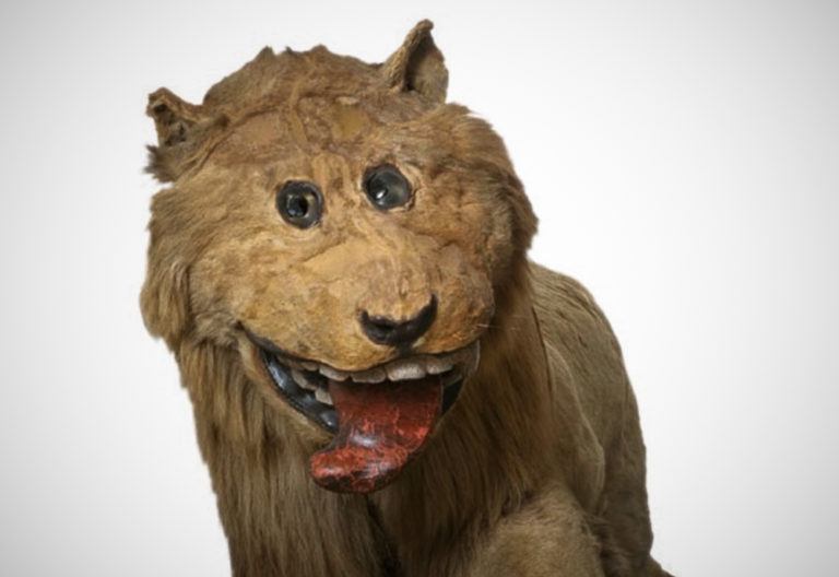 Gripsholm Castle A Royal Fortress Full of Surprises