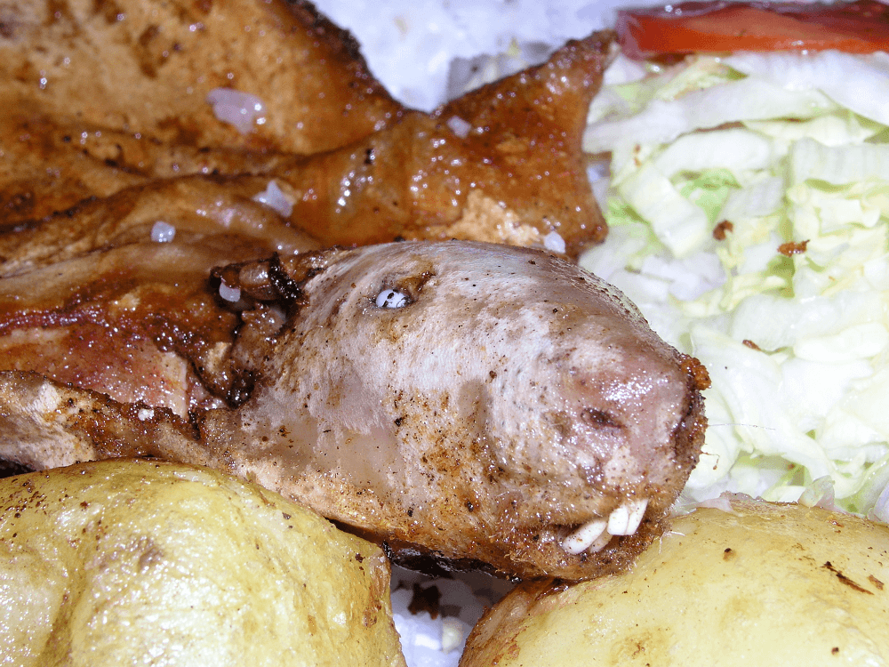 guinea-pig-delicacy-in-puno-lake-titicaca-peru