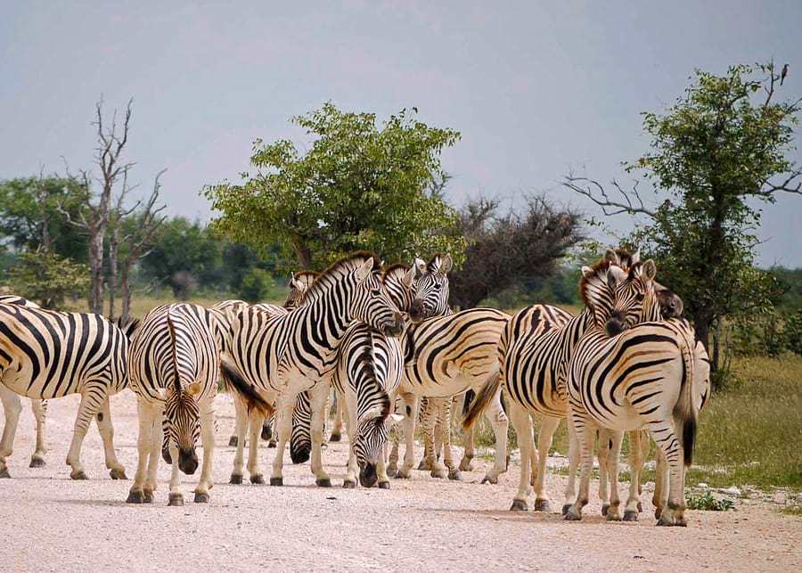 Namibia, one of the best countries to visit in Africa