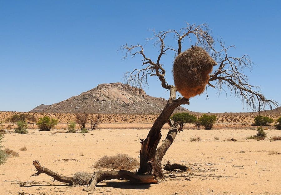 View of the Calahara Desert