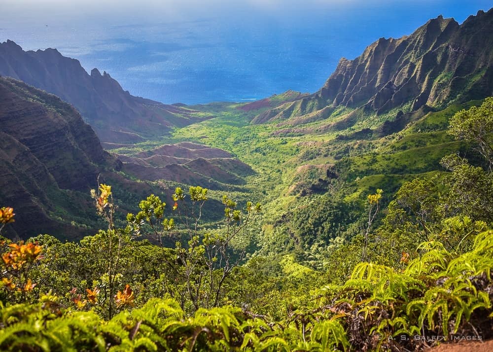 Waimea Canyon in Kauai Waimea Canyon in Kauai