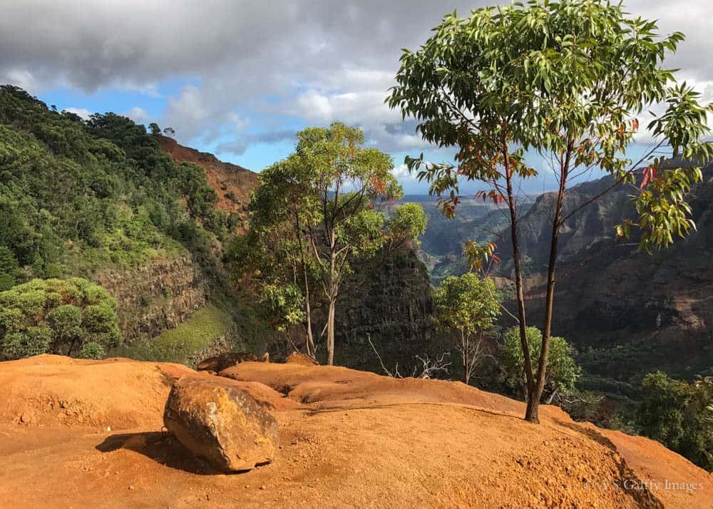 Waimea Canyon in Kauai