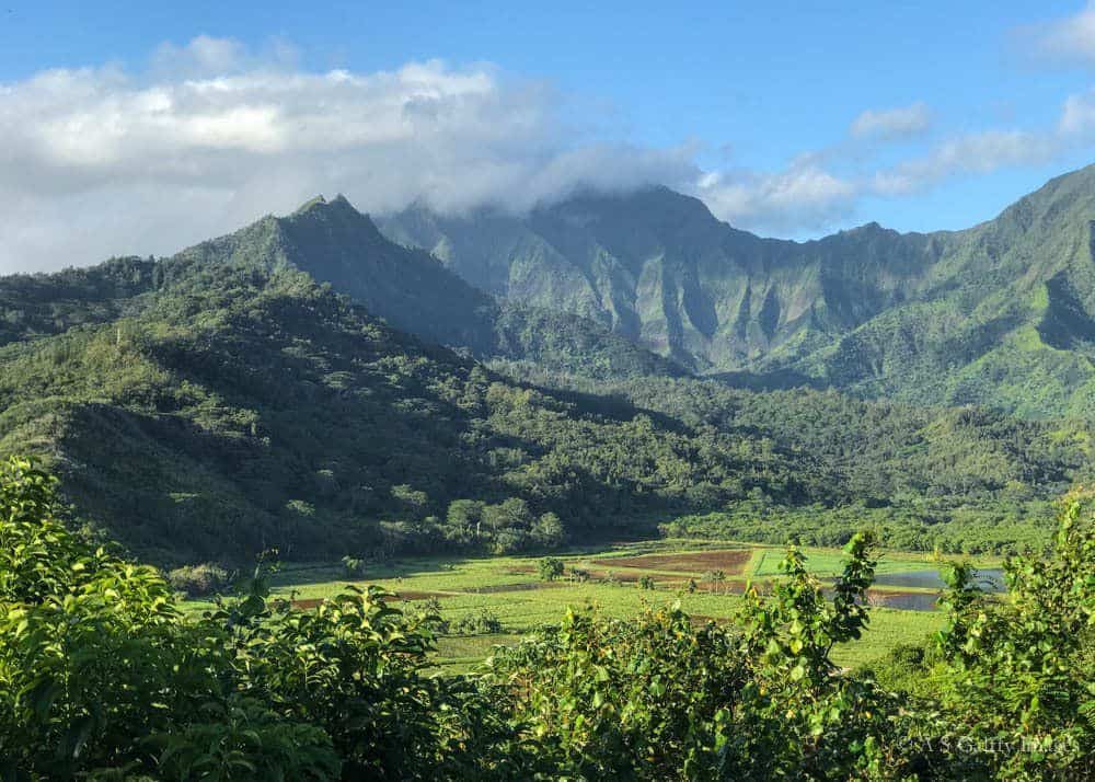 Kauai vs. Maui