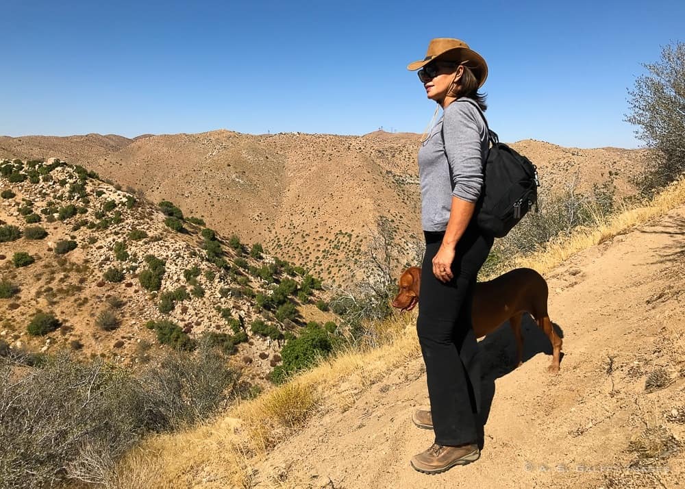 Hiking the Bradford Ridge trail 