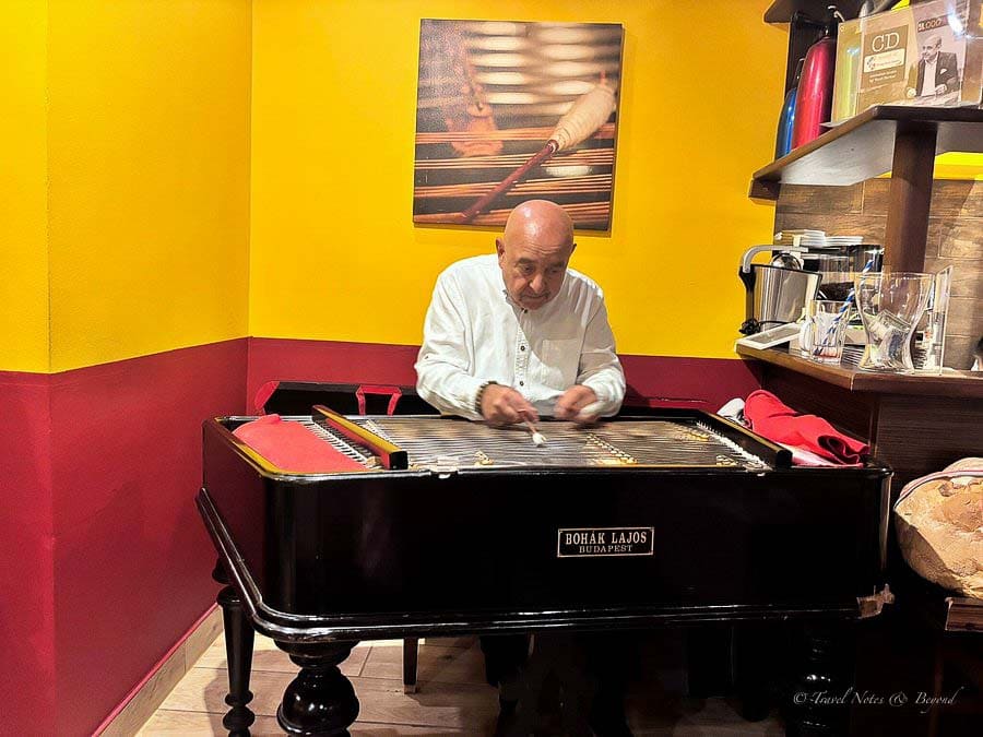 Local musician playing the cimbalom