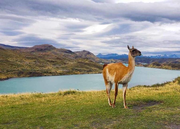 Where to Stay in Torres del Paine - Lodging Options