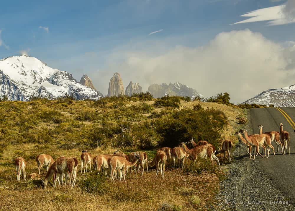 Hiking in Patagonia - Torres del Paine