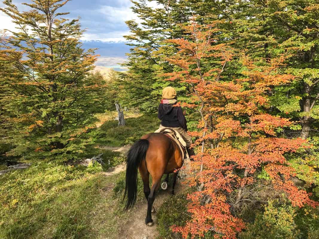 Day Hikes in Torres del Paine