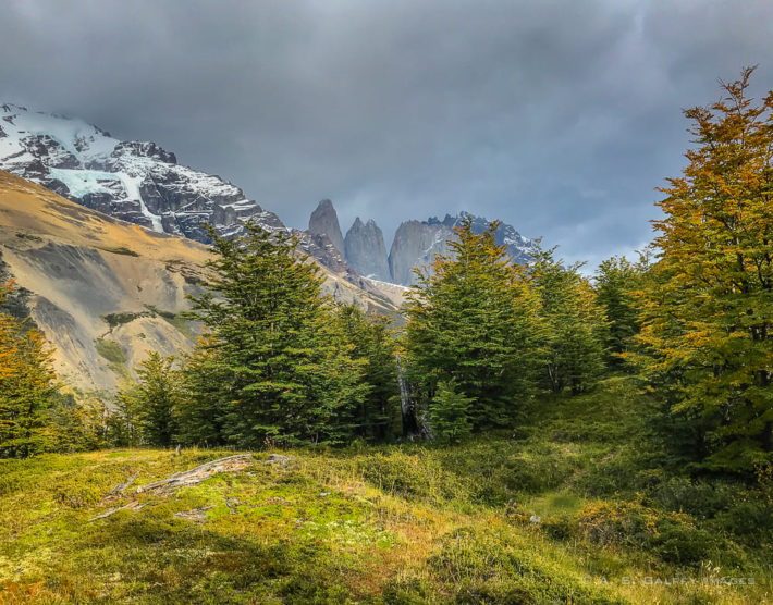 Essential Guide for Planning a Hiking Trip in Patagonia