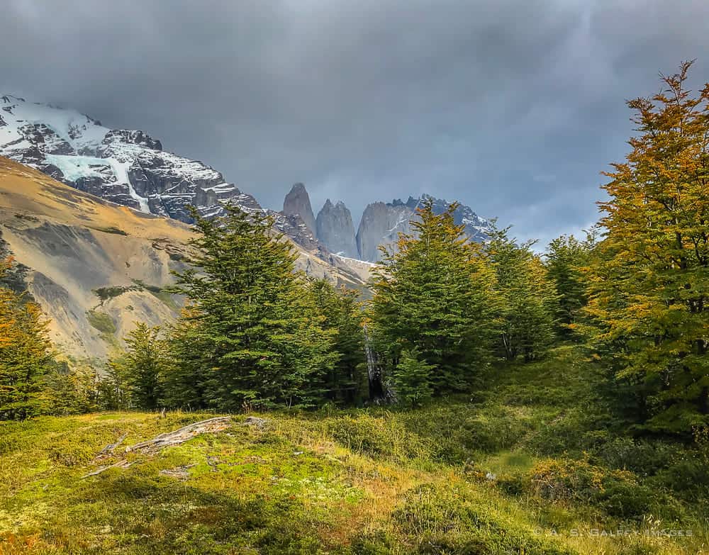 View of the Torres del Paine peaks