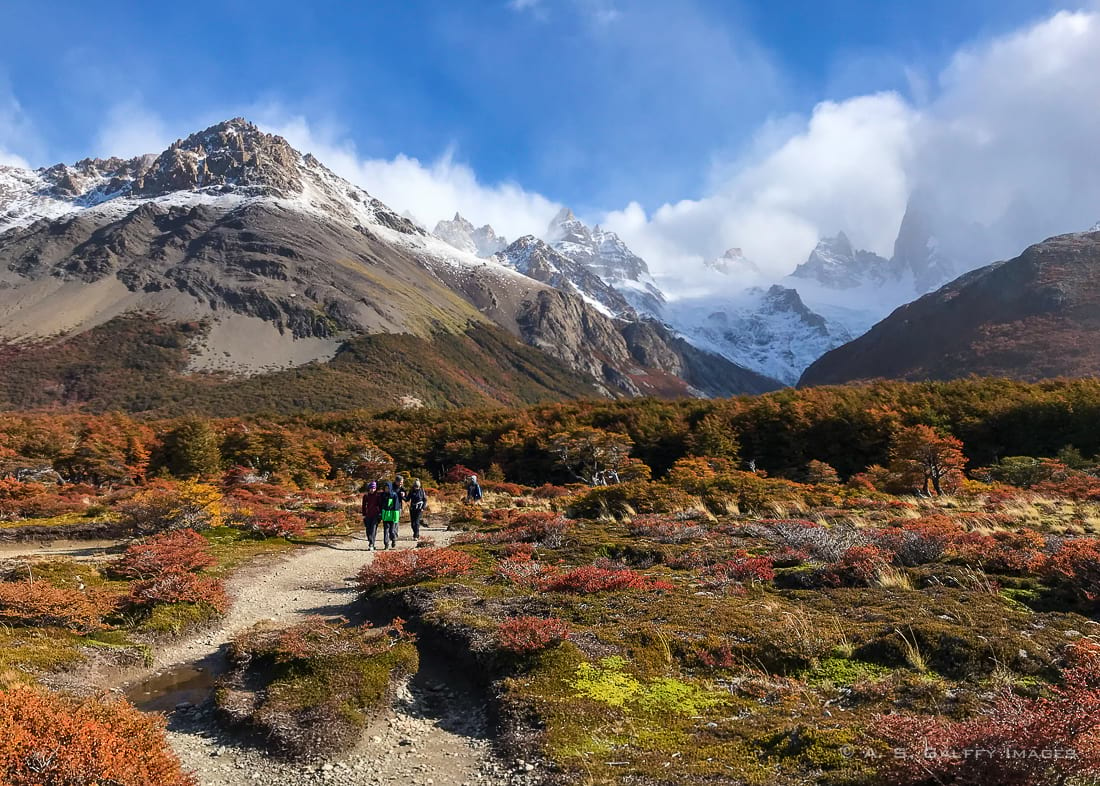 Large grassland area with views of Mt Fitzroy