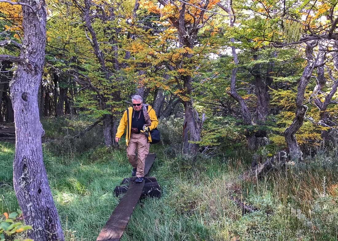 Hiking the FitzRoy trek to Laguna de Los Tres