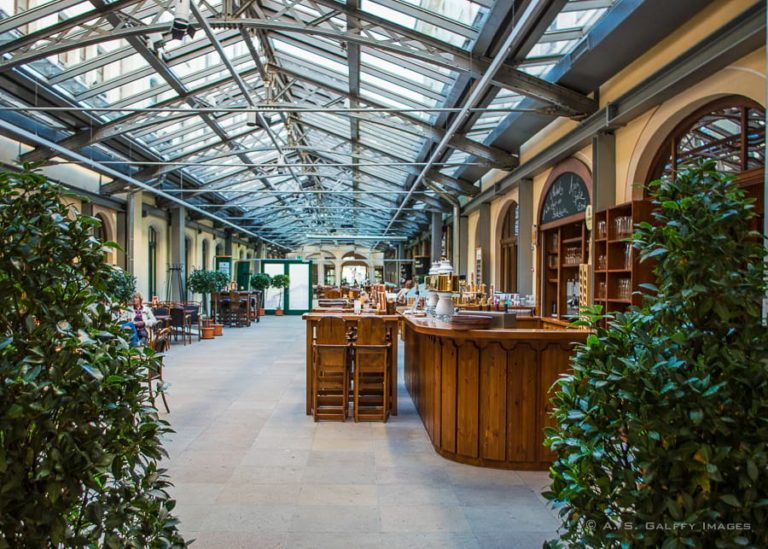 12 Particularly Interesting Things to Do in Dresden, Germany