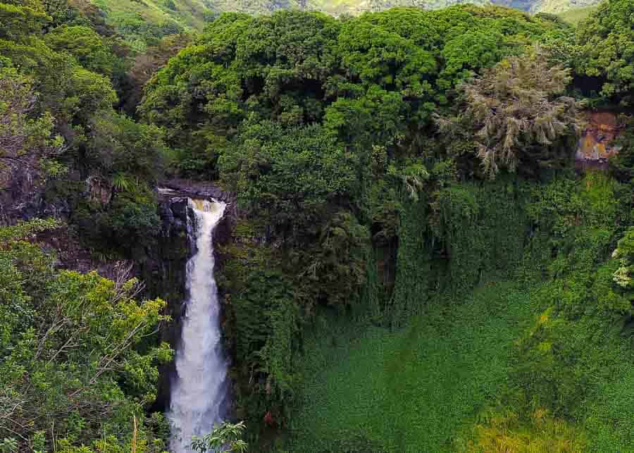 Kauai vs Maui: road to Hana