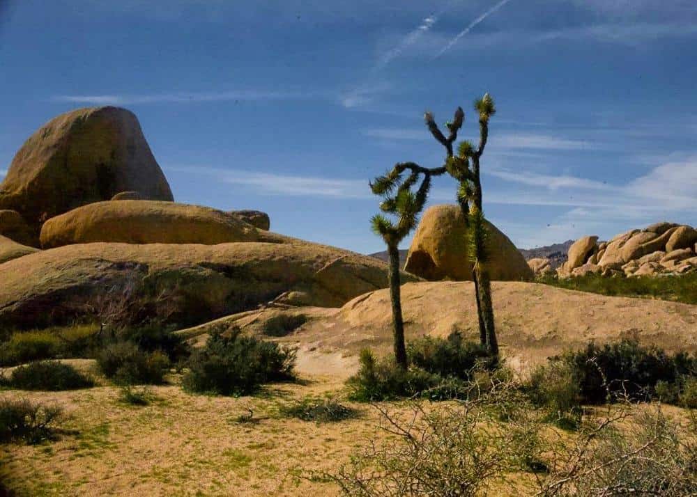 Joshua Tree national Park in Southern California