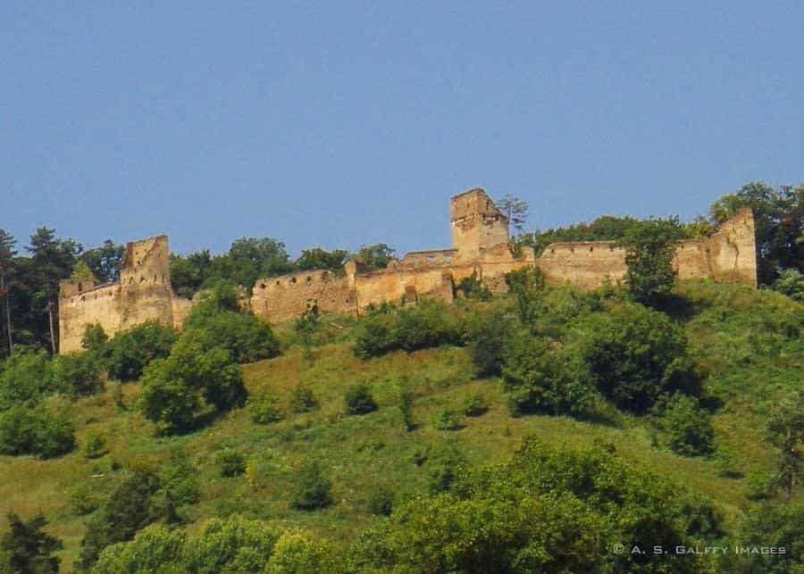 view of Saschiz Fortress
