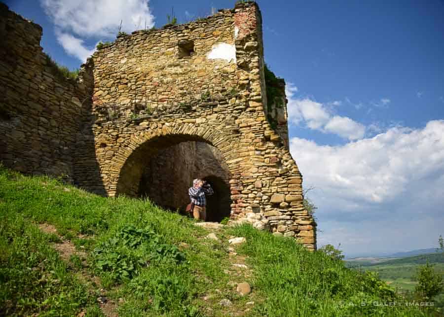 ruins of the fortress of Saschiz