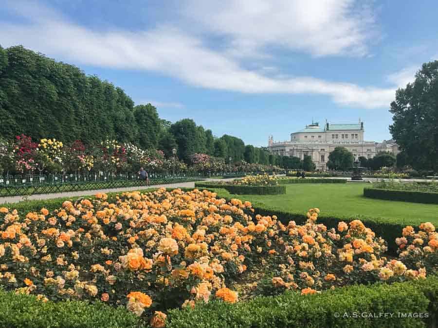 3 Days in Vienna - view of Volksgarten