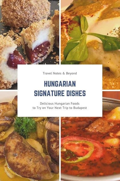 Hungarian dishes