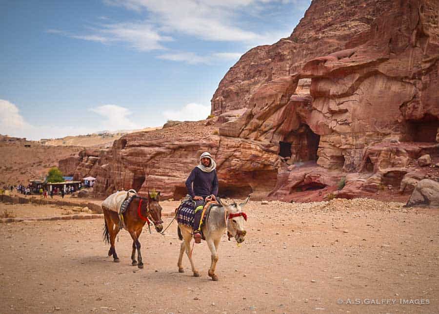 Bedouins on camels in Petra