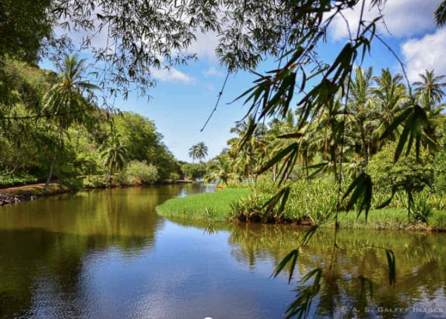 Kauai river