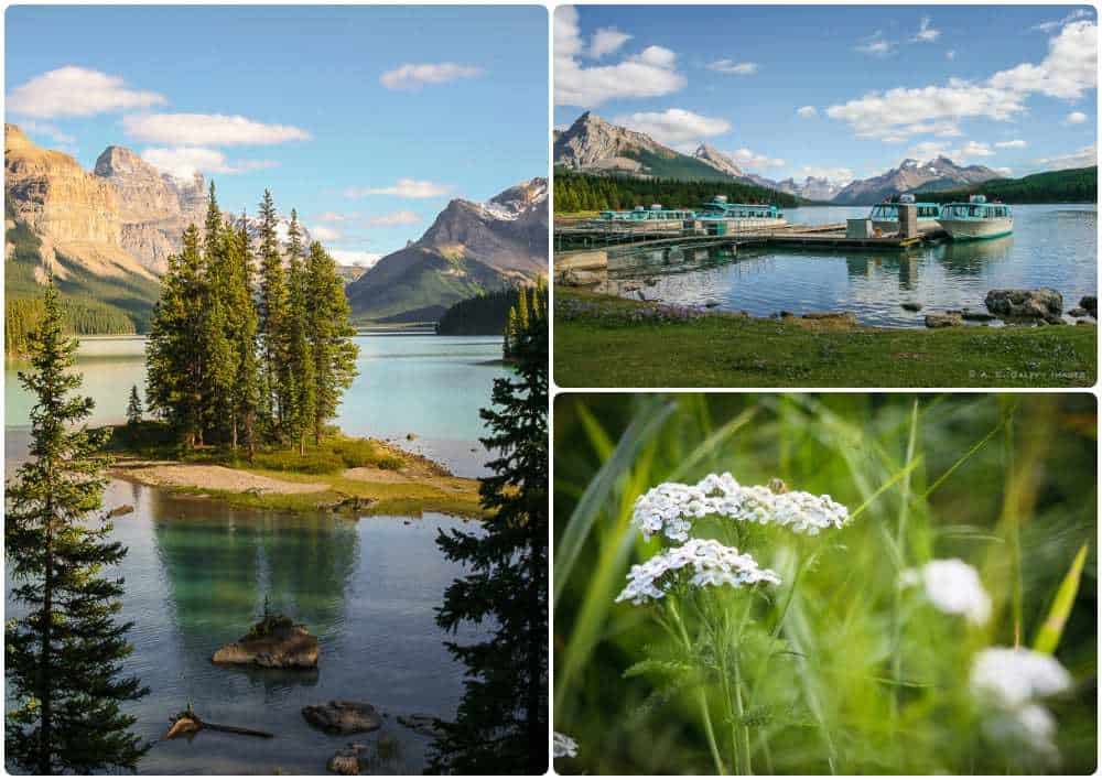 Lake Minnewanka