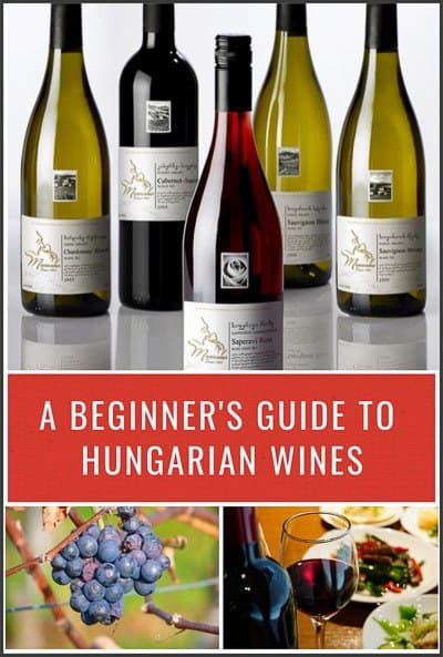 Hungarian wines