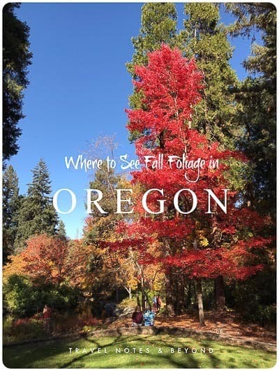 Fall Foliage in Southern Oregon